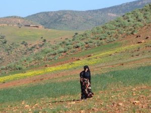 227212_1076167632691_6019_n