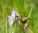 NM and Colorado Summer 2014