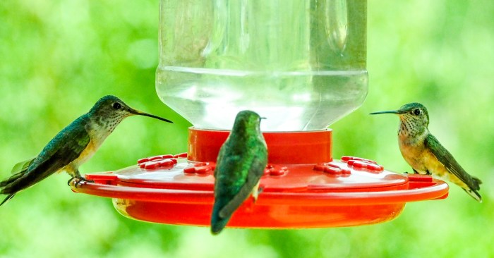 NM and Colorado Summer 2014