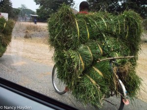 NM and Colorado Summer 2014