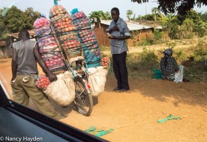 NM and Colorado Summer 2014