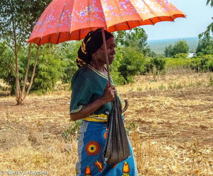 NM and Colorado Summer 2014